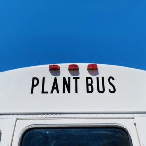 Plant Rambler Bus 1