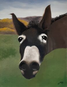 Artistic Escape Donkey