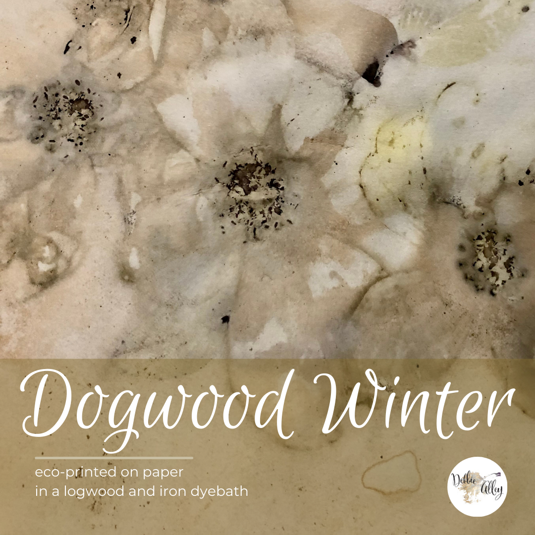 Debbie Alley, Inc. Dogwood Winter